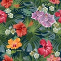 Tropical plants with hibiscus flowers. Decorative composition on the dark background. Bright picture. Floral motifs. Seamless patt